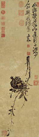 明  徐渭 榴实图  纸本 124x36CM